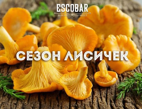 Сезон лисичек !